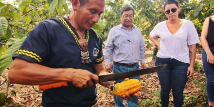 Santa Rita, tierra amazónica del cacao fino de aroma
