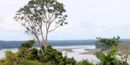 El Parque Nacional Yasuní cumple 44 años