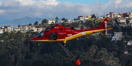 Incendios forestales afectaron 23.453,48 hectáreas en menos de un mes