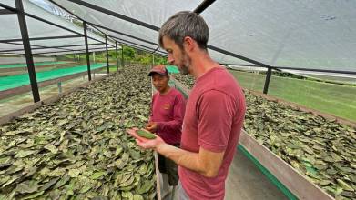 La conexión de productores de Napo con mercados internacionales es impulsada 