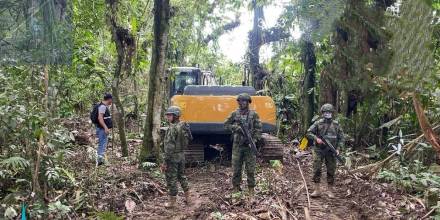 La Amazonía está amenazada por el crimen organizado