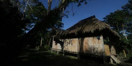 WWF: La mitad del territorio de Ecuador podría declararse área de conservación