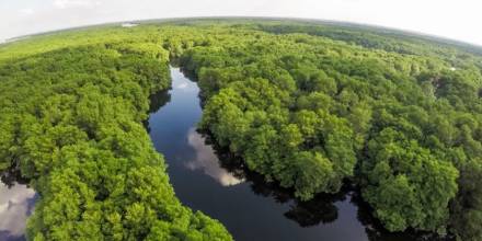 La Amazonía, otra opción de Ecuador para un canje de deuda por naturaleza