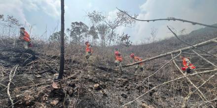 Incendios forestales en Perú dejan un fallecido y 16 intoxicados 