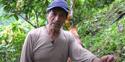 Miguel Ángel Maldonado narra su experiencia con el cacao en Palanda