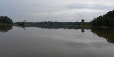 Jatuncocha, la laguna ubicada en el corazón del Yasuní 