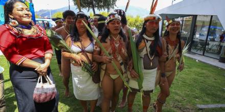 Caravana recorrerá el país para pedir fin de explotación en el Yasuní