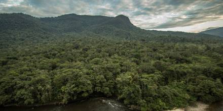 La reserva biológica Cerro Plateado es un paraíso para investigadores