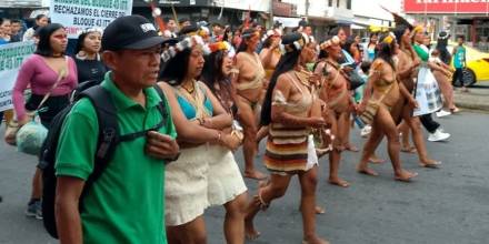 El cierre del Bloque 43-ITT pone en riesgo a 661 familias de la Amazonía 