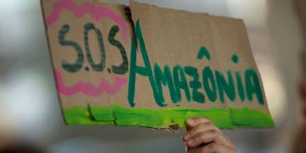 WWF alerta de que deforestación de Amazonía acelera hacia punto de no retorno