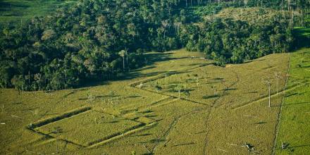 La Amazonía albergaría más de 10.000 sitios arqueológicos por descubrir