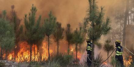 Sudamérica es cada vez más cálida, seca y con más riesgo de incendios