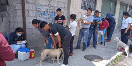 La campaña Ecuador-Perú de vacunación antirrábica canina y felina arrancó