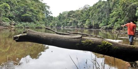 Ecuador celebrará "el mes de la biodiversidad" con foros y actos culturales