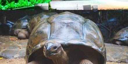 Galápagos ganó el premio de oro de Wanderlust 