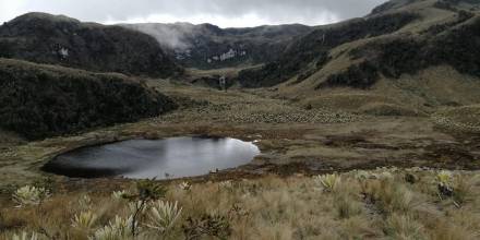 Sucumbíos: La Bonita Cofanes-Chingual tiene una extensión de 53 mil hectáreas 