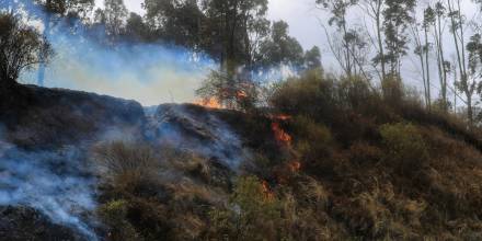 60 alertas de incendios forestales se atendieron en menos de 2 días