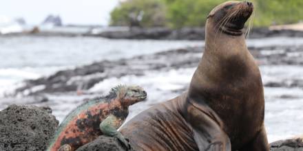 El turismo en Galápagos está a 1 % de llegar a las cifras prepandemia