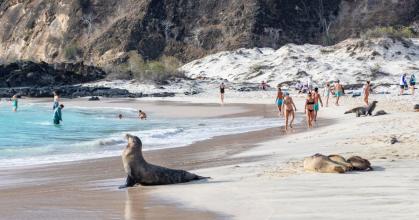 Galápagos recibió 280.000 turistas en 2024, 15 % menos que en 2023