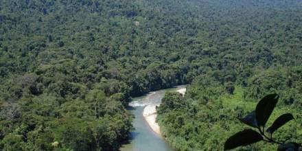 Lista la agenda por la creación del Parque Nacional Podocarpus