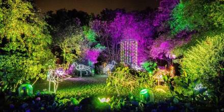 El ‘Bosque de luz’ iluminará el feriado en Quito 