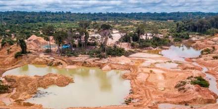 ONG estima 65.985 hectáreas afectadas por la minería ilegal en la Amazonía venezolana