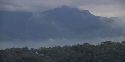 Ecuador vive un dilema por el mercado de carbono 