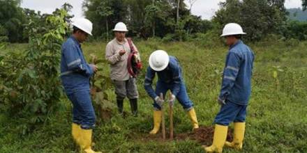 Firma minera con Venezuela se liquidará 