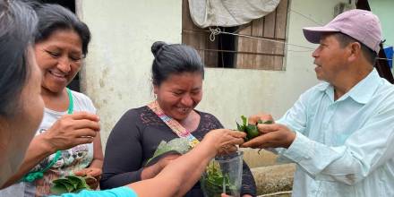  El uso de insumos orgánicos es promovido en Archidona