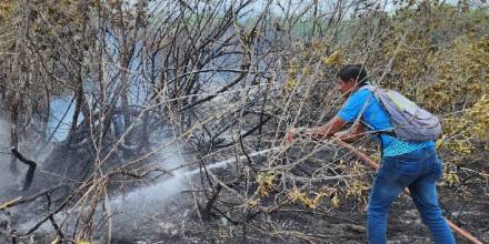 Un incendio afectó a media hectárea de bosque de manglar en Galápagos