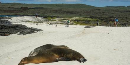 Ecuador acomete con Galápagos la mayor conversión de deuda por naturaleza de la historia