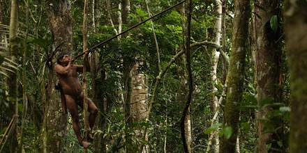 The Amazon tribe that kills and eats monkeys