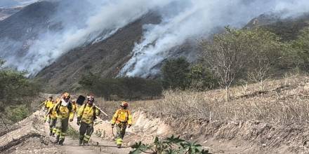 Incendio forestal, que afectó 850 hectáreas en Azuay, fue extinguido