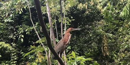 Ecuador conmemora el Día Mundial de la Biodiversidad