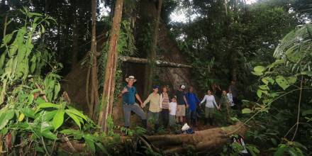 21 de marzo, Día Internacional de los Bosques