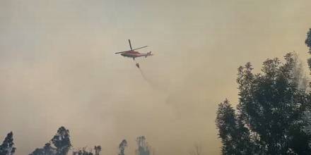 22 incendios forestales se registraron ayer en Quito