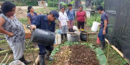 Alrededor de 500 productores serán capacitados en Napo a través de las Escuelas de Campo