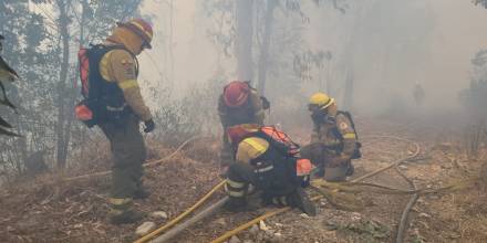 11 incendios forestales se registran en Ecuador