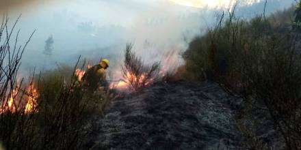 Controlado incendio en el cerro Ilaló, cercano a la capital ecuatoriana