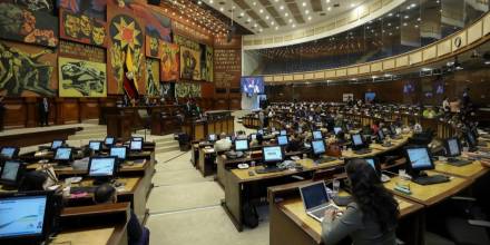 El Correísmo y Construye son las principales fuerzas en la Asamblea