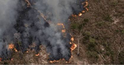 La Amazonía peruana ha registrado 817.634 incendios desde 2020 