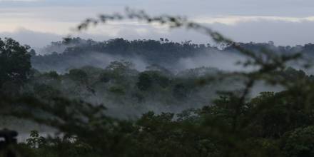 ¿Qué es un biocorredor y por qué la importancia para la Amazonía?