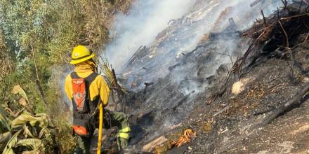 Reportadas 79 emergencias por incendios forestales en Quito en lo que va de 2023 