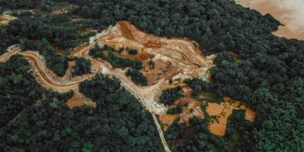 Carreteras clandestinas están deforestando la Amazonía colombiana 