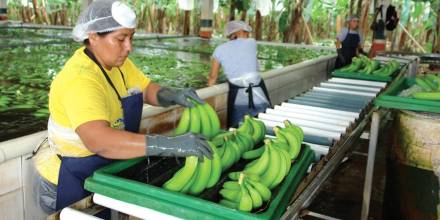 La guerra entre Rusia y Ucrania amenaza las exportaciones ecuatorianas 