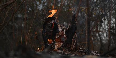 Perú combate al menos tres incendios forestales en el norte