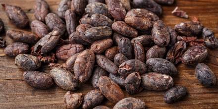 El precio del cacao ha caído abruptamente en los últimos días