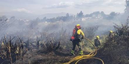 Cerca de 16.000 hectáreas han ardido en Ecuador en las últimas dos semanas