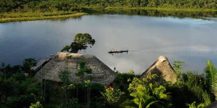 Oil drilling underway beneath Ecuador's Yasuní national park