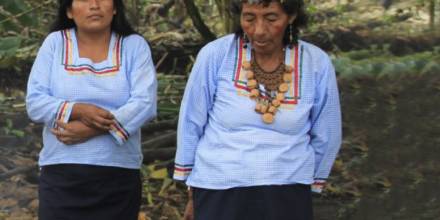 5 de septiembre, Día Internacional de la Mujer Indígena